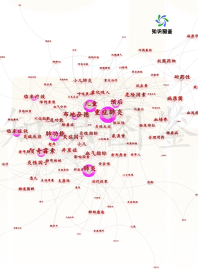 CiteSpace文献分析聚类时区间线图代做6.3新版中文汉化软件安装包