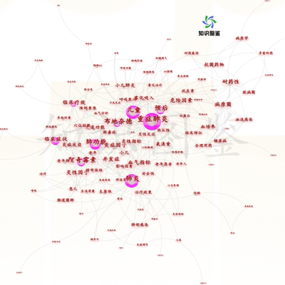 CiteSpace文献分析聚类时区间线图代做6.3新版中文汉化软件安装包