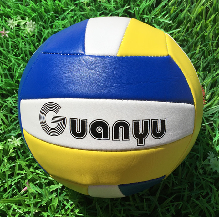 Ballon de volley - Ref 2009824 Image 3