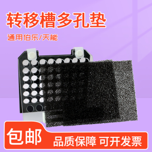 blot电转夹样品多孔垫海绵垫衬垫实验室 伯乐WB夹板三明治Western
