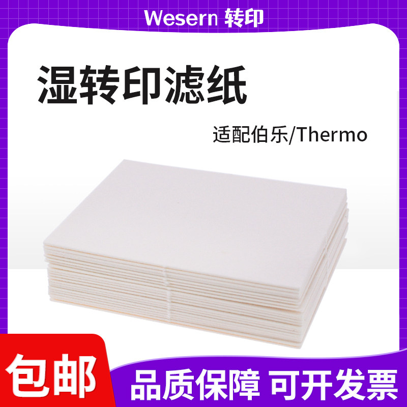 westernblot转印转膜湿转滤纸图片