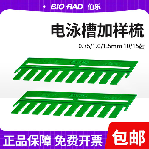 伯乐垂直蛋白电泳制胶梳子