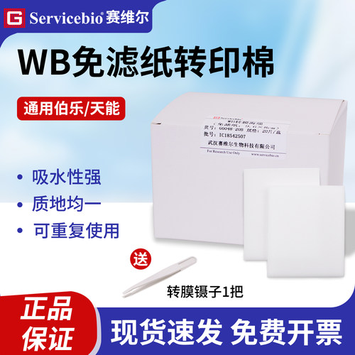 赛维尔WB免滤纸转印海棉适配伯乐