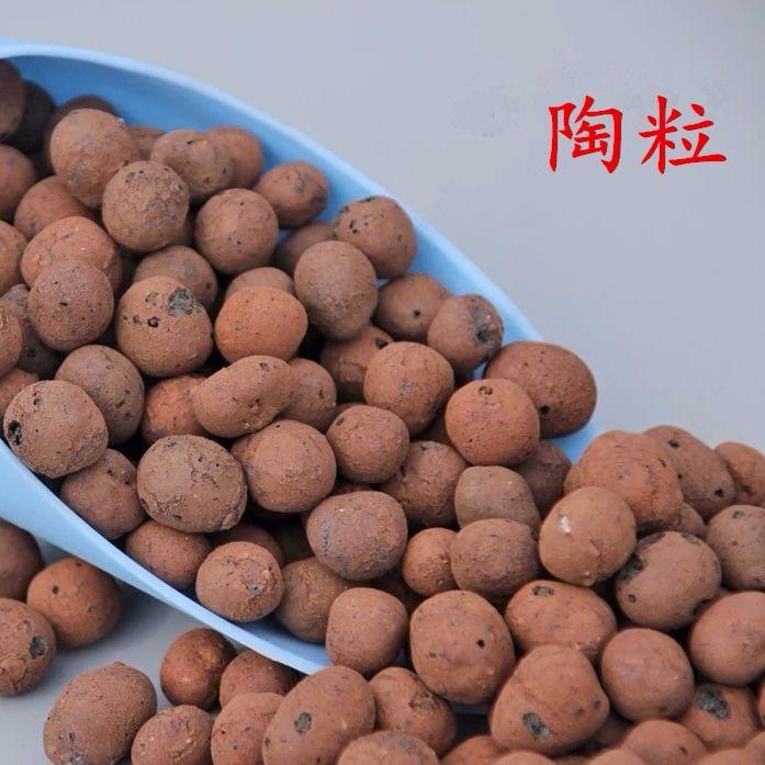 土陶粒 花盆多肉花卉铺面垫底园艺土陶粒球铺面土水培植物固定