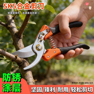 黑金钢园艺修枝剪刀合金防锈涂层高硬度锋利家用果园树枝剪枝工具