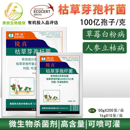 拜沃锐真枯草芽孢菌杆菌 草莓人参白粉病土传叶部病害杀菌剂