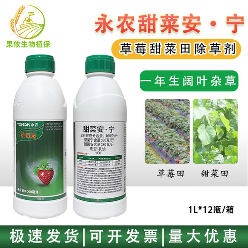 永农甜菜安宁草莓甜菜田除草