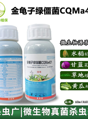 聚立信金龟子绿僵菌CQMa421 青虫甜菜夜蛾水稻二化螟飞虱杀虫剂