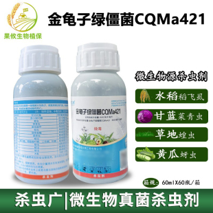 青虫甜菜夜蛾水稻二化螟飞虱杀虫剂 聚立信金龟子绿僵菌CQMa421