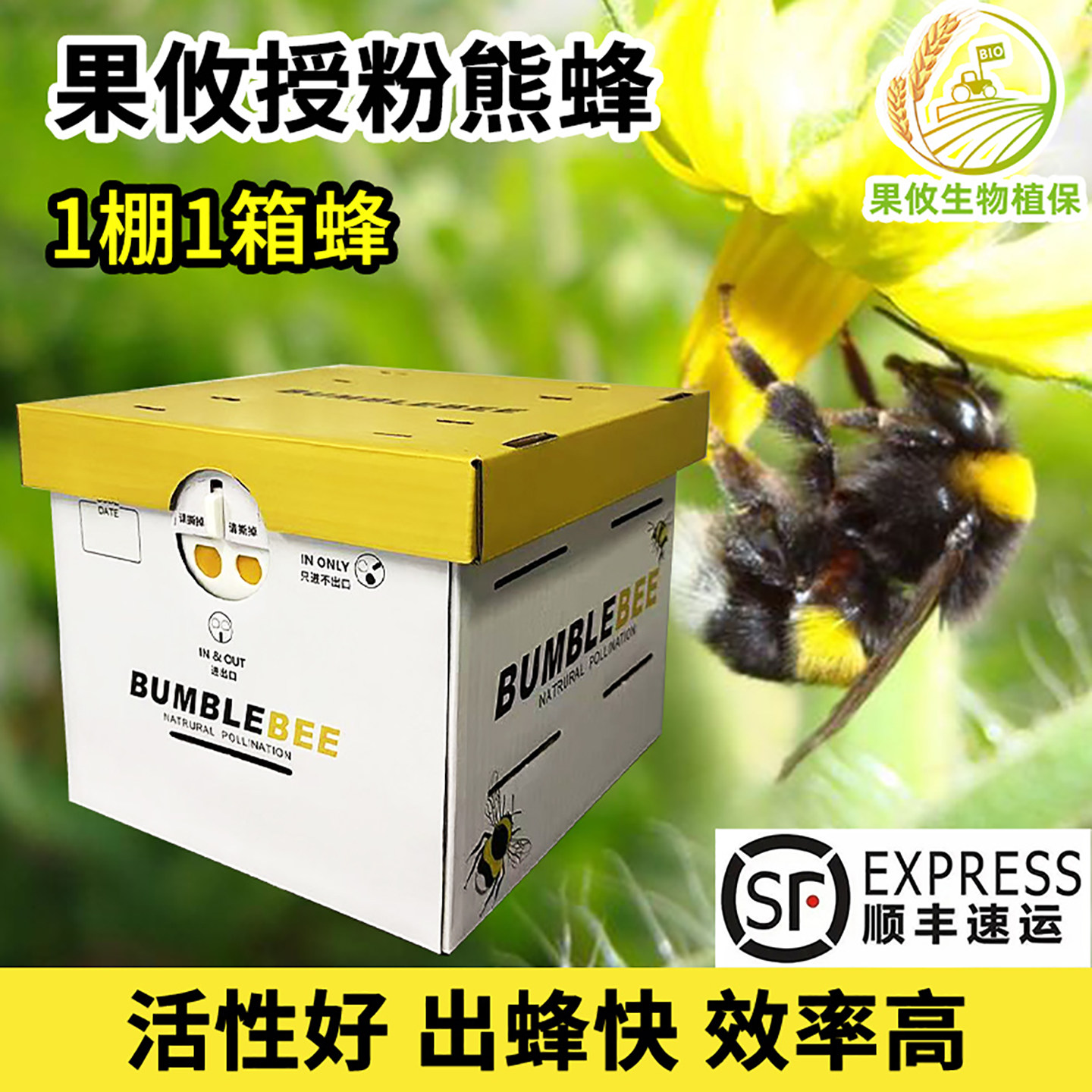 定时发货】果攸授粉熊蜂番茄茄子草莓授粉蜂 蜜蜂多地快递包邮