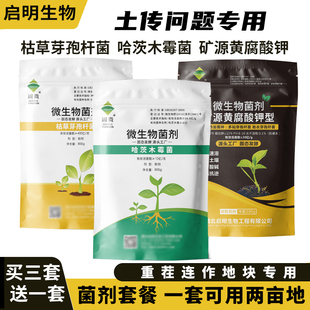 启明防根腐套餐 枯草芽孢菌杆菌哈茨木霉菌黄腐酸钾微生物菌剂