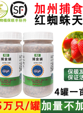 果攸捕食螨 加州新小绥螨草莓月季玫瑰红蜘蛛白蜘蛛天敌袋罐装