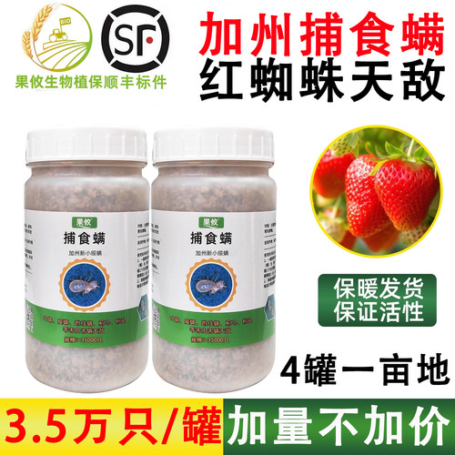 果攸捕食螨红蜘蛛天敌控制效果好