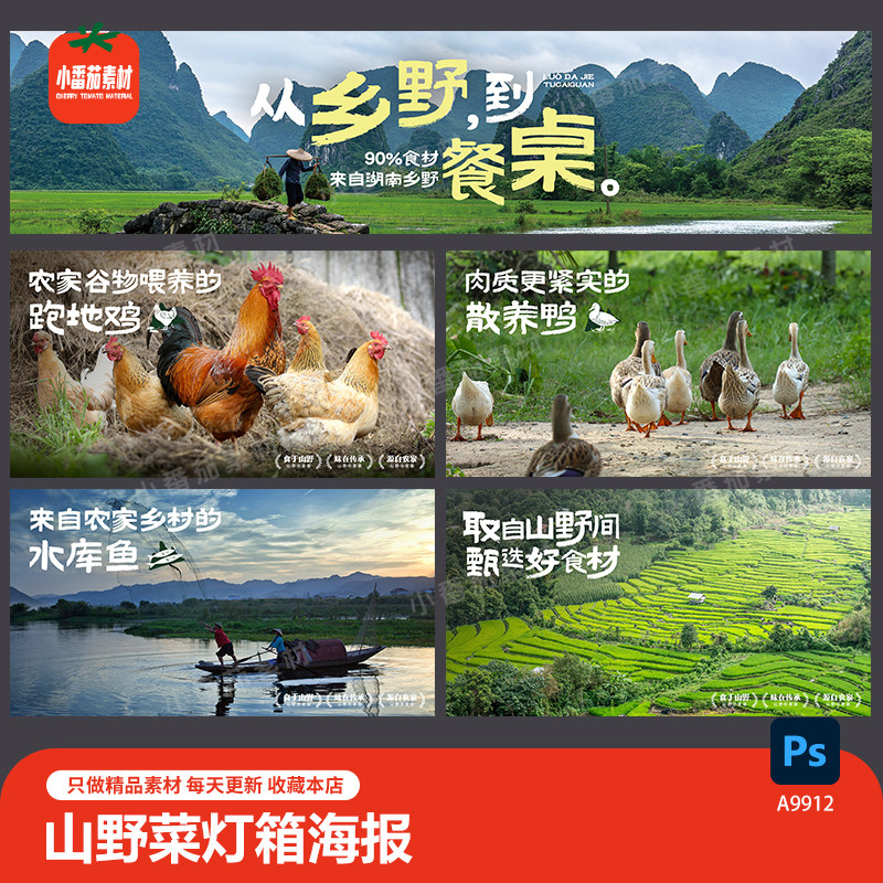 餐饮山野食材田园农家土菜馆灯箱海报鸡鸭鱼乡野食材展板PSD素材图片