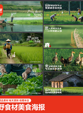 自然田园风山野土菜农家菜私房菜海报绿色健康餐饮食材灯箱广告