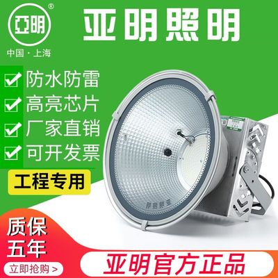 上海亚明LED超亮投光灯建筑之星纳米塔吊灯400W800W1000W大功率灯