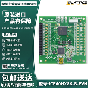 iCE40 FPGA ICE40HX8K iCE40™ EVN 分线板iCE40HX8K 评估板