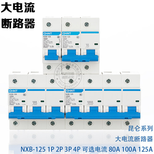 正泰大电流断路器1234P100A125A