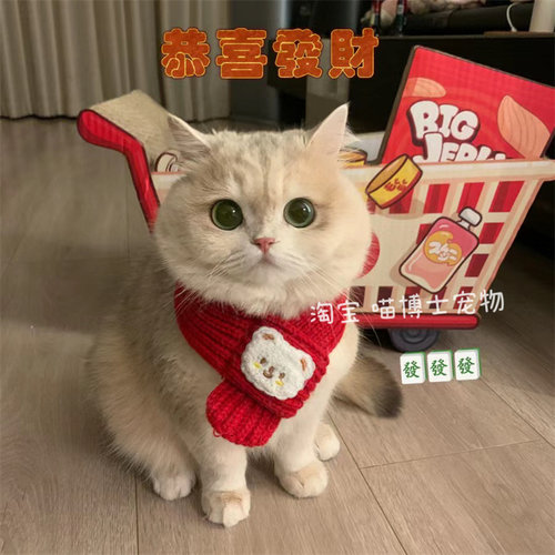 新年圣诞宠物猫咪狗狗围巾围脖