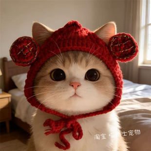 宠物新年财神帽子猫咪狗狗过年拜年头饰围巾喜庆拜年围脖项圈可爱