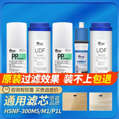 海尔施特劳斯净水器滤芯HSNF-300M5/M1/P1L/P8/B1/B2/Q7/A1通用