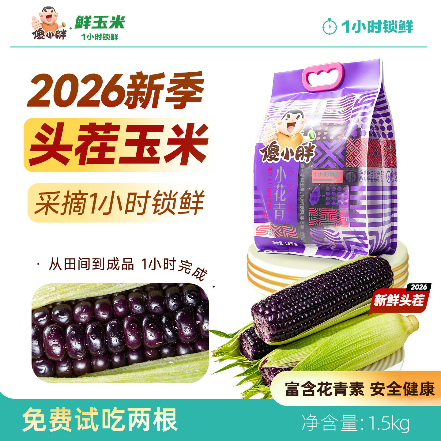 傻小胖内蒙头茬玉米1.5kg