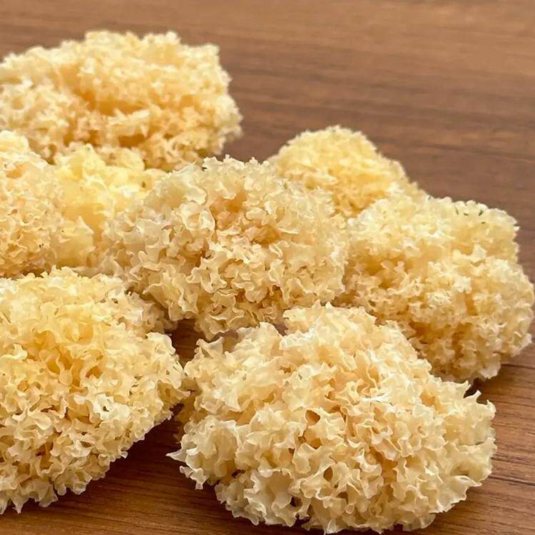 椴木小银耳干货天然白木耳出胶软糯小花银耳银耳羹