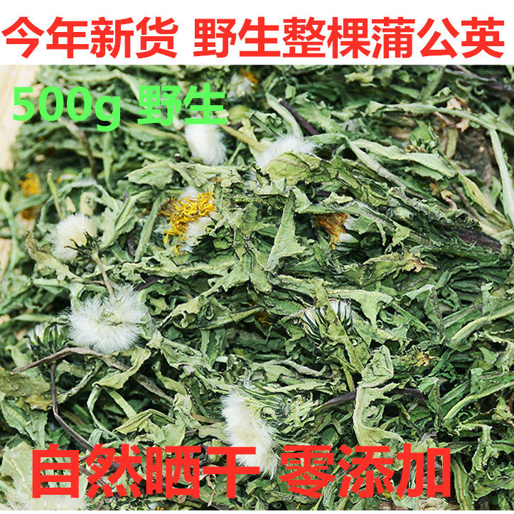 新货整棵蒲公英婆婆野生晒干