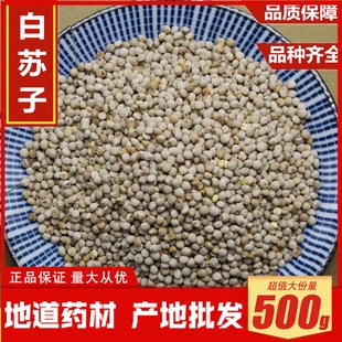 新货 苏子 白苏子 软苏子鸟食鸟粮鹦鹉金丝雀芙蓉鸟黄雀500克包邮