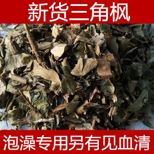 新货常春藤野生三角枫中药材三角风500g追风藤泡澡包邮另有见血清