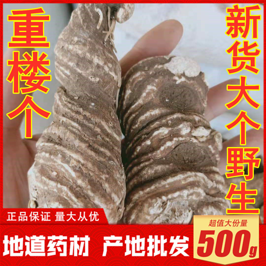 中药材 野生重楼个七叶一枝花大重楼切片粉质蚤休 灯台七500g包邮