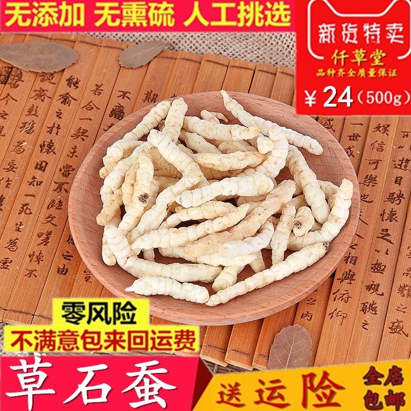 精选草石蚕中药材干货中草药材无硫 正品土冬虫草地蚕500克包邮