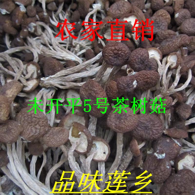 建宁农家直销茶树菇茶新菇菌类干货广昌蘑菇250克包邮