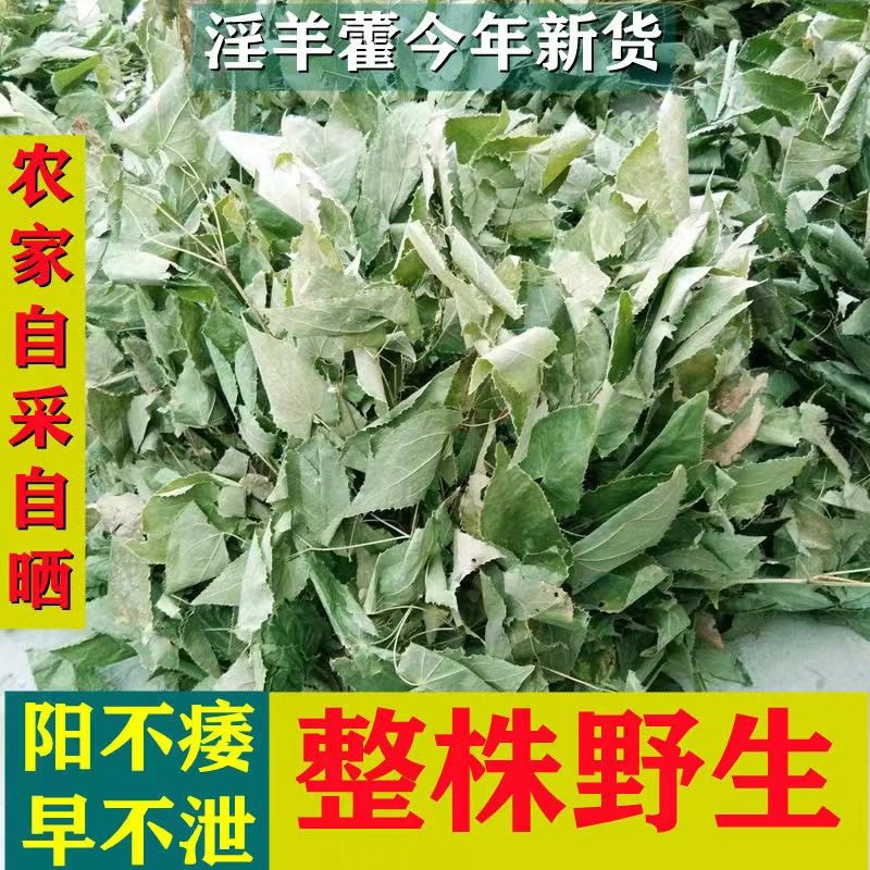 野生淫羊藿晒干淫羊藿叶仙灵脾叶茶三枝九叶草正品泡酒泡茶淫羊藿