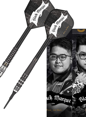 TARGET探极BLACK MARQUE WILD/ARMAGEDDON 2代 钨钢软式比赛飞镖