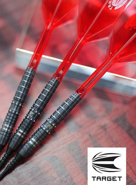TARGET探极飞镖DIAMOND G2 MAX吕小铃筒重20克 软式专业比赛飞镖