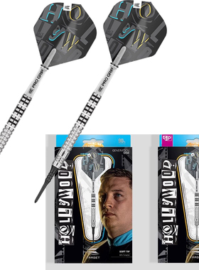 TARGET探极CHRIS DOBEY G1 90钨钢19克软镖2324g硬镖专业比赛飞镖