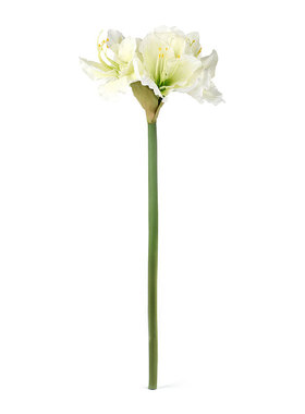 Homix 傲然朱顶红仿真花