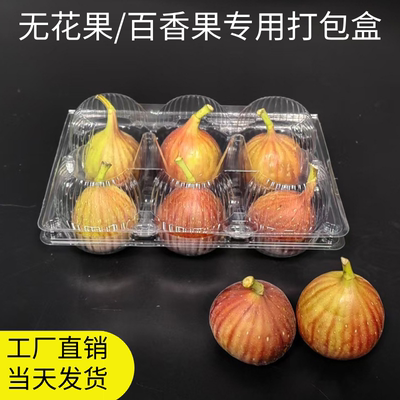 无花果包装盒内托透明保鲜盒