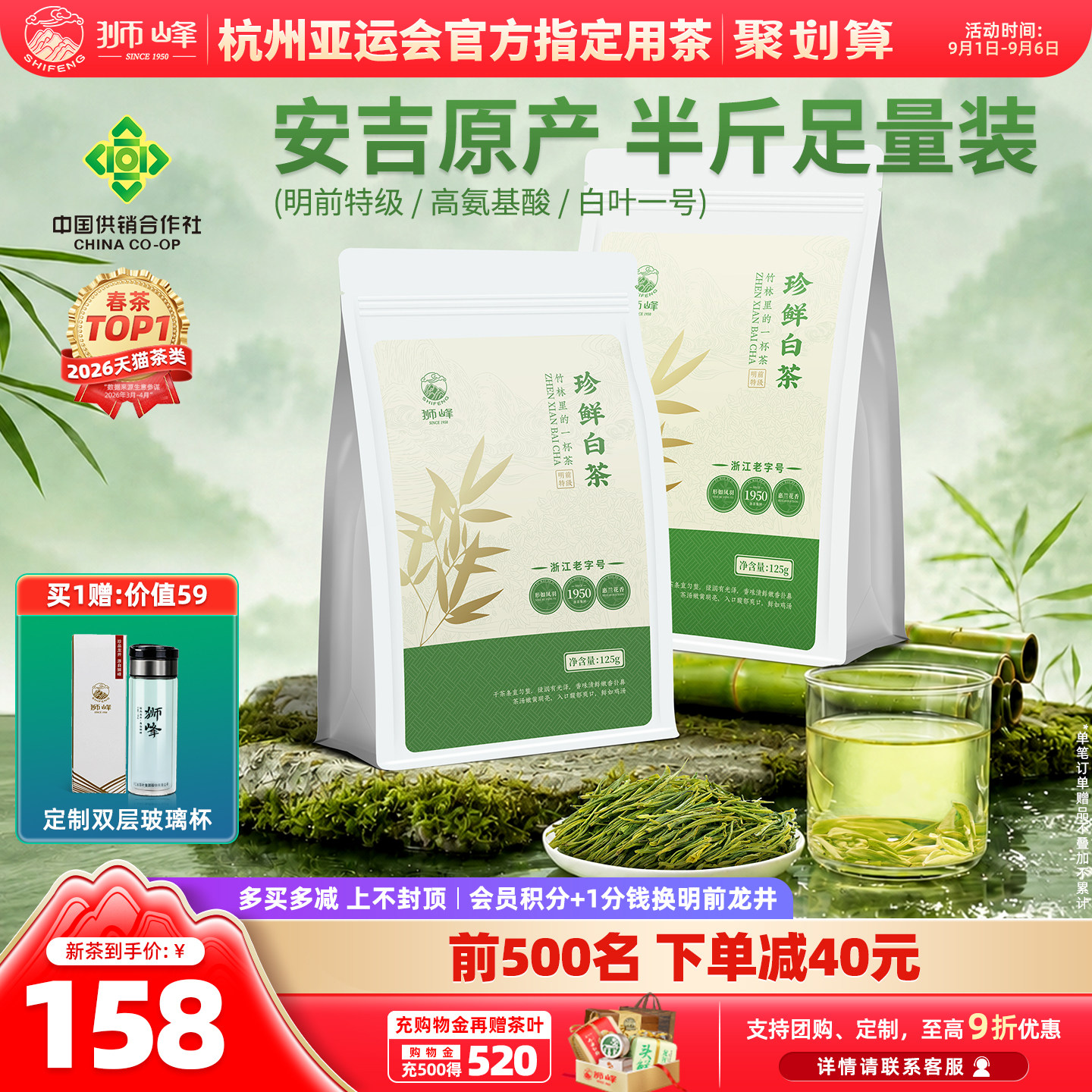 2026新茶明前特级安吉珍鲜白茶图片