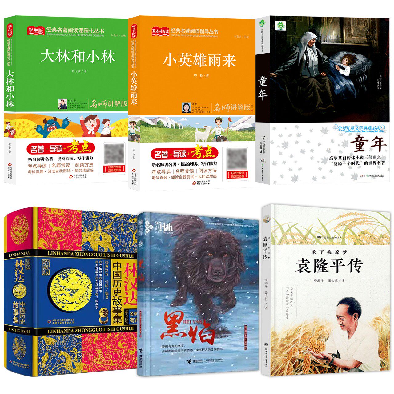 2022清北阅读五年级广东朝阳读书书单全6册 正版包邮 大林和小林 小英雄雨来 童年 林汉达中国历史故事集 黑焰 袁隆平传小学生