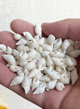 迷你小海螺修曼茶罗宝石供曼扎宝石七宝小白海螺七宝石一份50g
