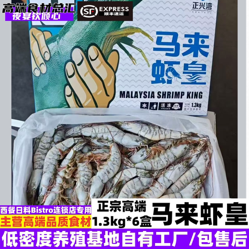 正宗马来虾皇可溯源高端餐饮大虾西餐日料bistro连锁冻虾专用批发