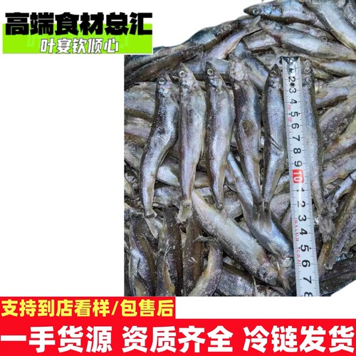 多春鱼5L日式料理食材寿司食材刺身菜整件批发配送
