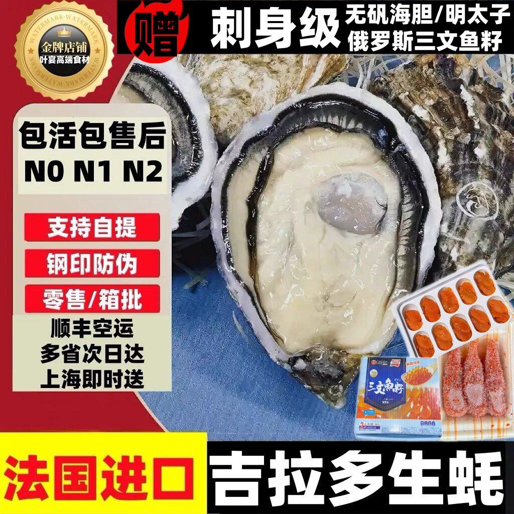 法国吉拉多生蚝新鲜直达吉娜朵生贝类制品