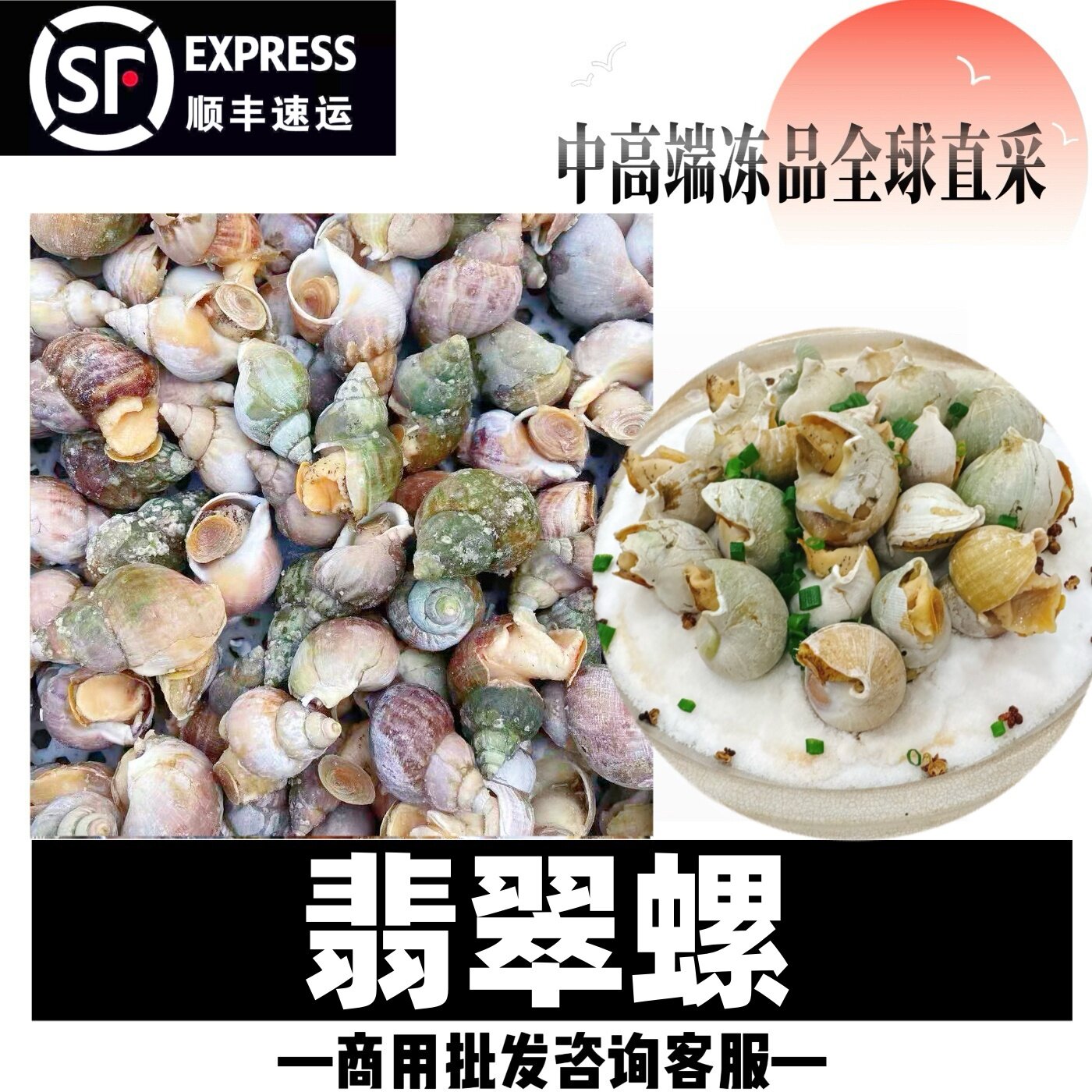加拿大翡翠螺新鲜小海螺海鲜冻螺餐饮自助餐食材