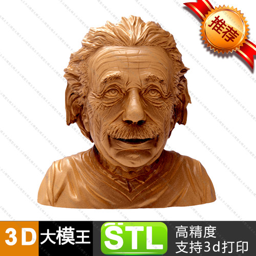 爱因斯坦AlbertEinstein胸像头像数据半身像模型3D打印数据模型