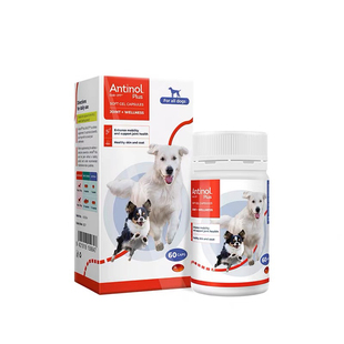 小马丨新西兰安它诺Antinol安替诺277安适得宠物软骨素猫狗关节