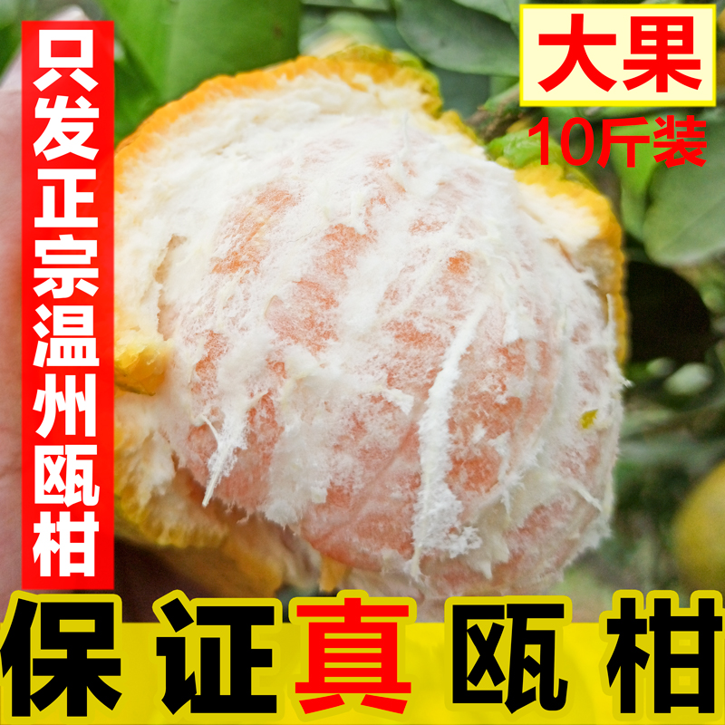 新鲜瓯柑温州正宗特产鸥柑苦柑苦橘苦桔欧柑送礼佳品大果10斤5斤