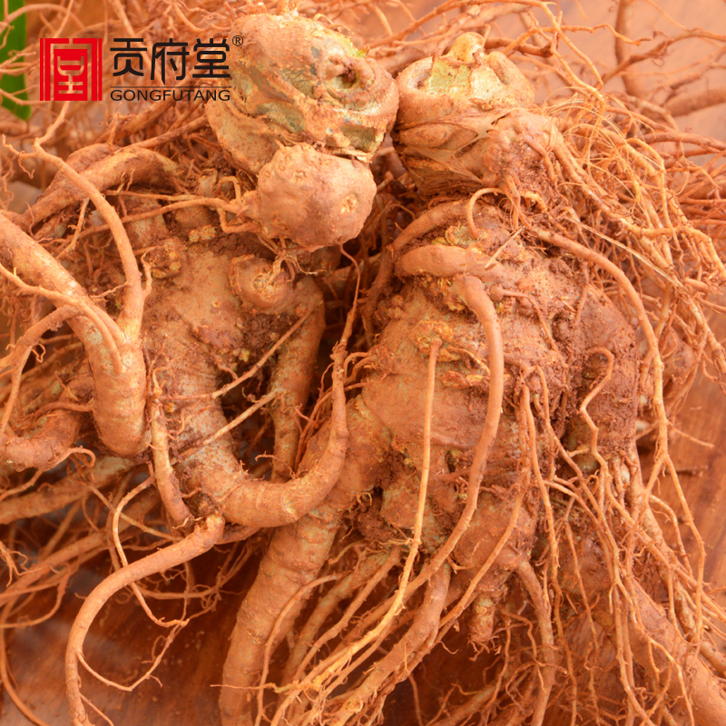 新鲜三七 不是干三七 新鲜发货